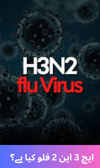 What is H3N2 flu?
